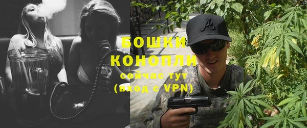 сатива Михайловка