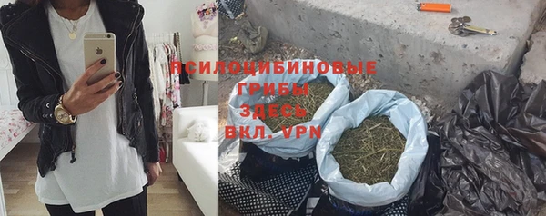 прущие грибы Навашино