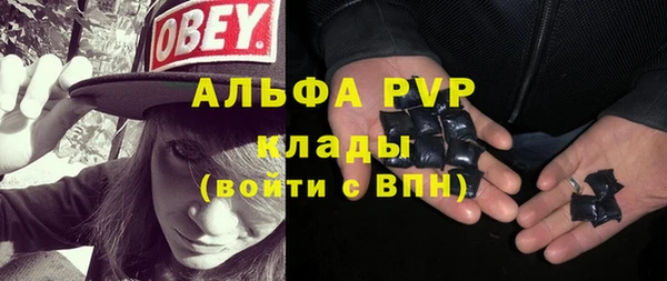 сатива Михайловка