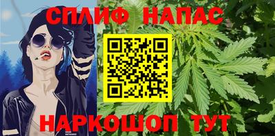 дурь Гай