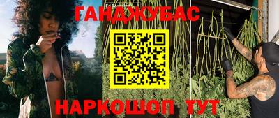 дурь Гай