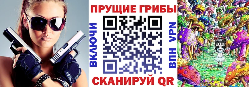 Галлюциногенные грибы Psilocybe  Малоярославец 