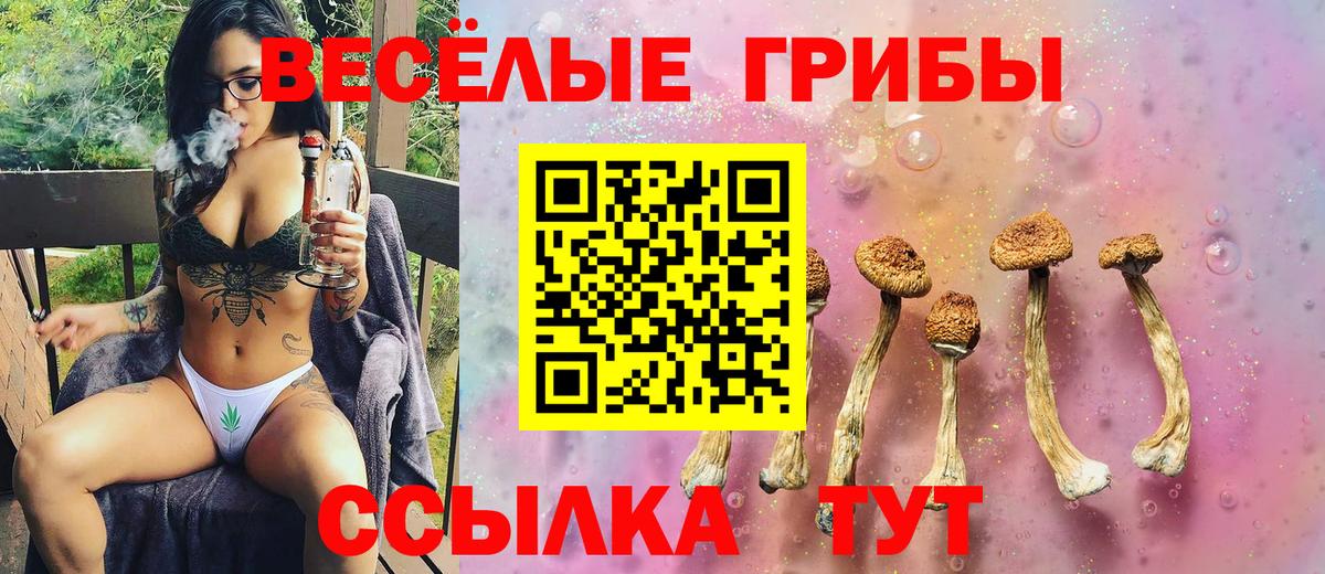 Малоярославец  Псилоцибиновые грибы Psilocybe  Вход с VPN 